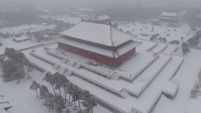 龙华寺雪景航拍