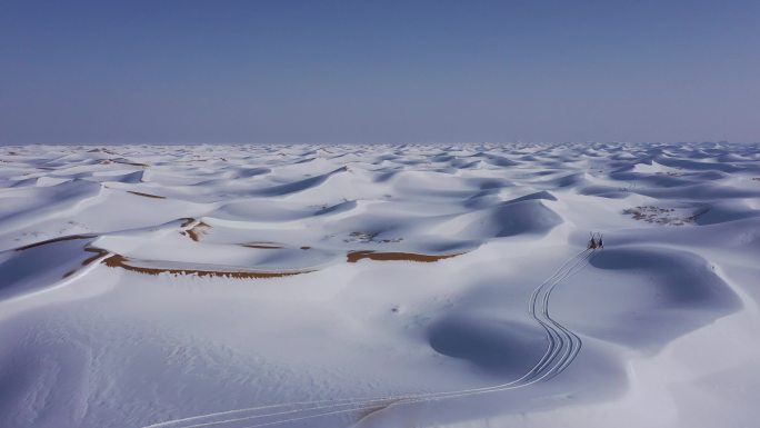 沙漠 雪景 气候 季节 雪地行车 越野