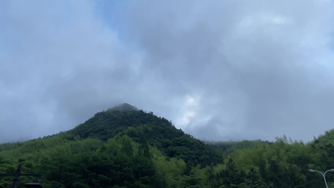 蓝天竹子山坡寂静夏天