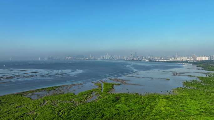 深圳湾大全景上升