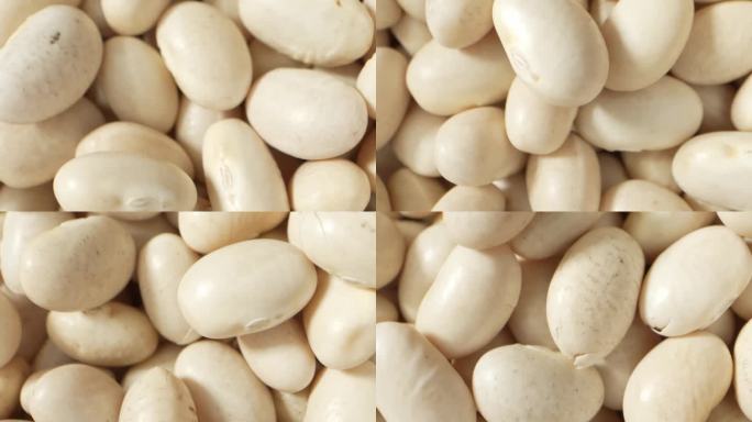 营养丰富的白芸豆:蛋白质、纤维