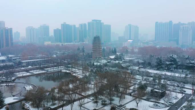 西安小雁塔雪景1