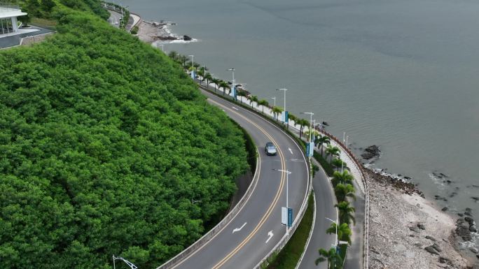 汽车行驶在沿海公路高架桥