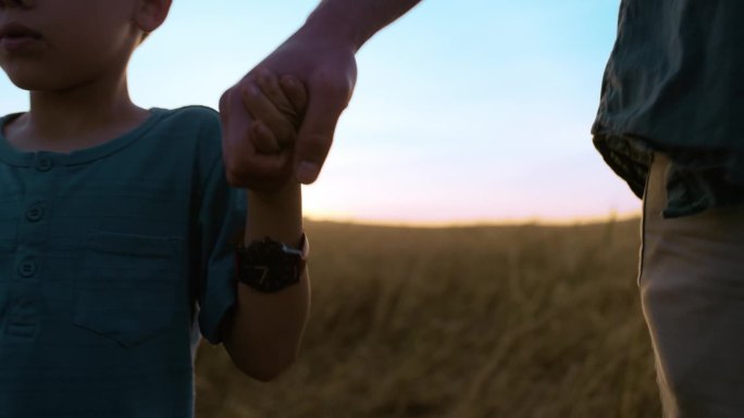 爸爸、儿子牵着手在麦田里散步，在乡村里自由自在地冒险。家庭，男人和男孩的假期，假期或旅行在玉米田的关