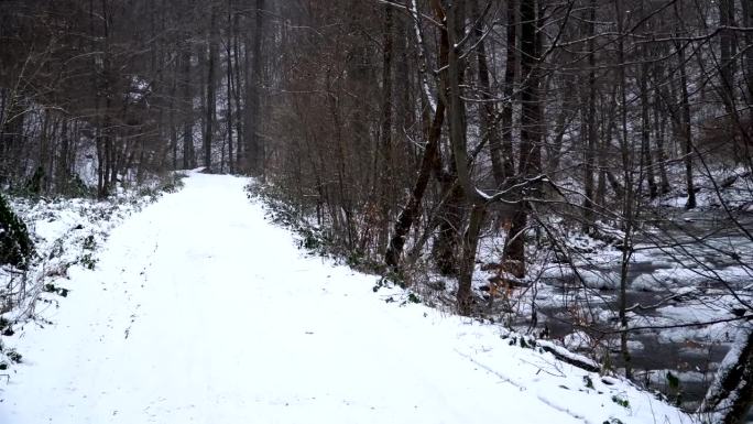 冬天在树林里挖隧道，白雪覆盖的道路，冬天的树林
