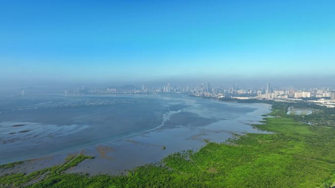 深圳湾自然保护区航拍大全景