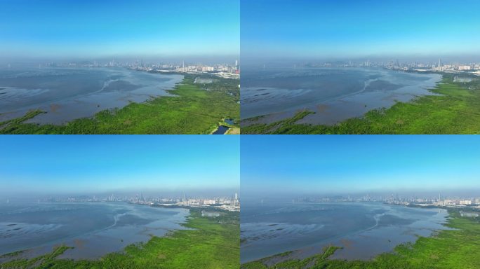 深圳湾自然保护区航拍大全景
