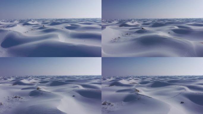 沙漠 雪景 气候 季节 雪地行车 越野