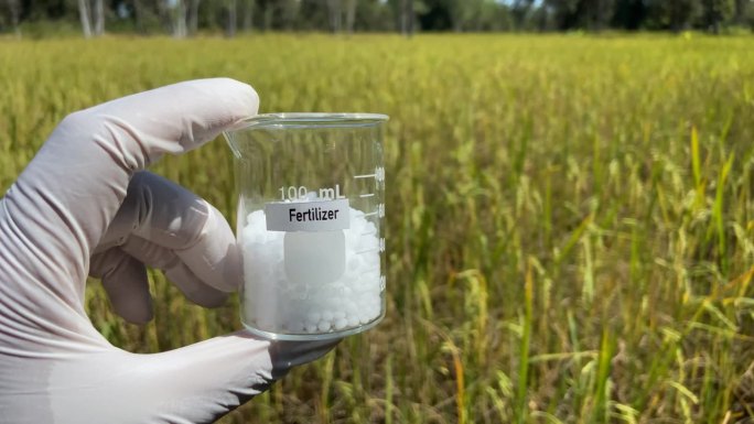 植物需要的化学肥料和营养物质