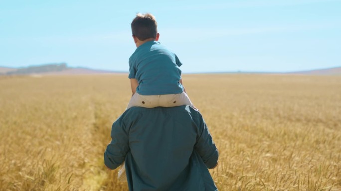 男孩，爸爸和肩膀一起牵着手在田野里散步，在夏日的阳光下一起度假。男人，孩子和猪背冒险，在家庭谷物农场