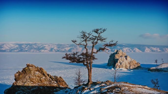 冬天的贝加尔湖被冰雪覆盖。全景飞行围绕一棵孤独的树，背景是奥尔洪岛的山脉和沙曼卡岩石。俄罗斯西伯利亚