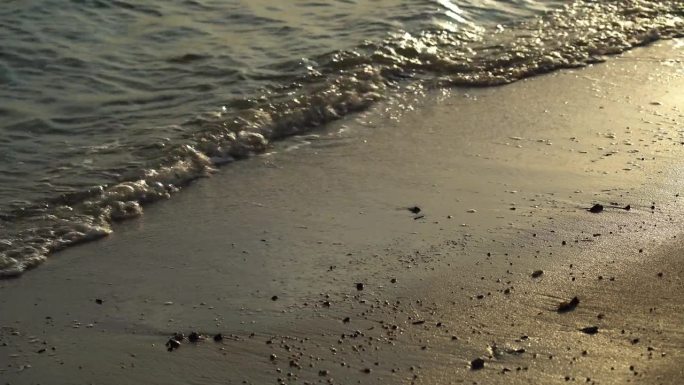 金色的日落在沙滩上的运动，海浪滚滚向白色的沙滩。