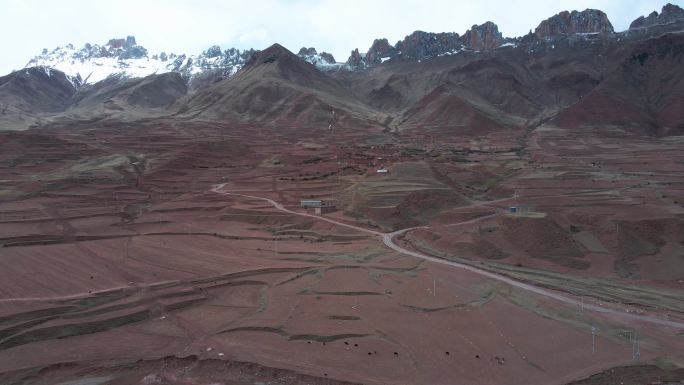 西藏红土地 农田雪山