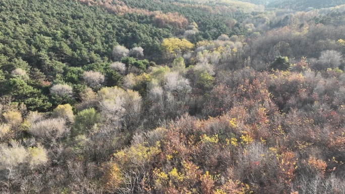 辽阳龙石景区山林秋季风光