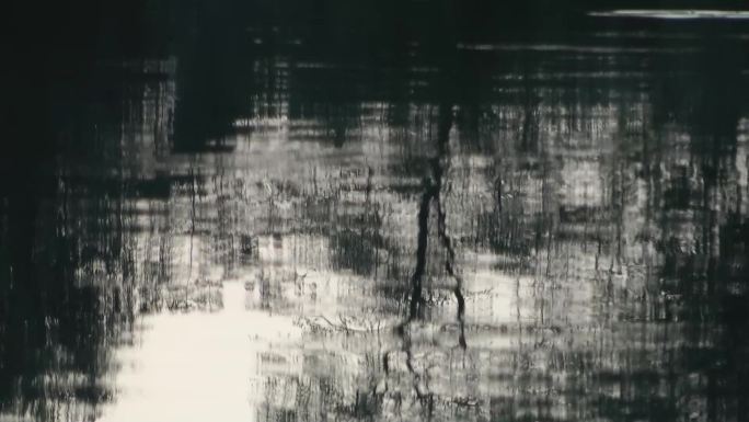 倒影 湖 河 水 光影 抽象唯美空镜黑白