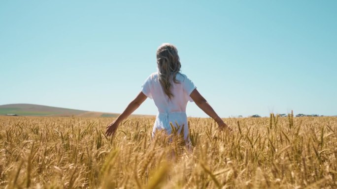 大自然，无忧无虑的年轻女子，在蓝天下的麦田里，在可持续的环境中冒险。周末在农村农家旅行、旅行和女性徒
