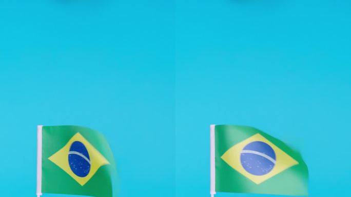 手举着巴西国旗，在风中挥舞