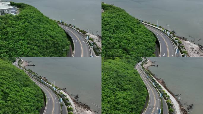 汽车行驶在沿海公路高架桥