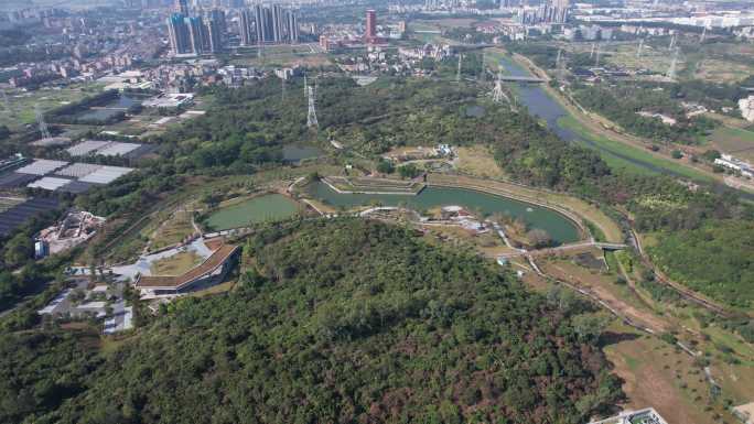 深圳坪山横塘水生态海绵综合示范园