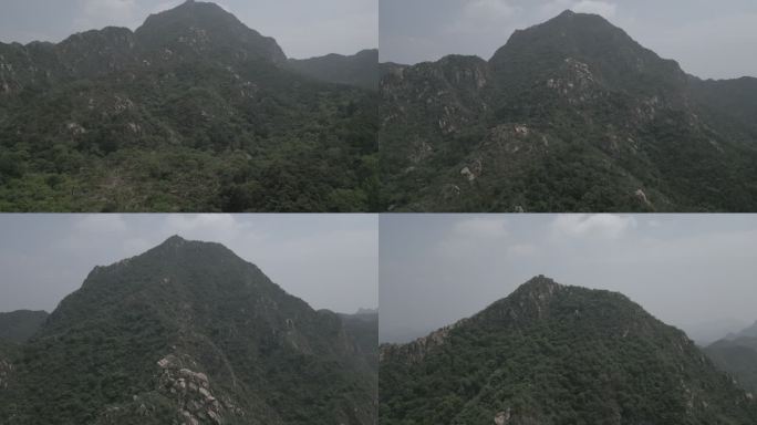 飞机飞进丛林森林航拍视角