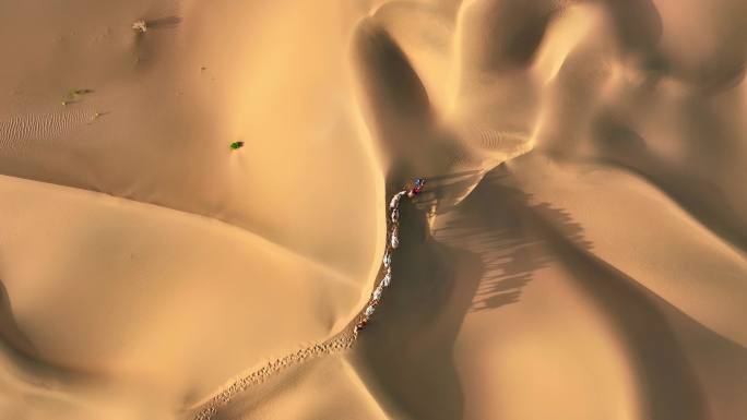 巴丹吉林沙漠的驼队