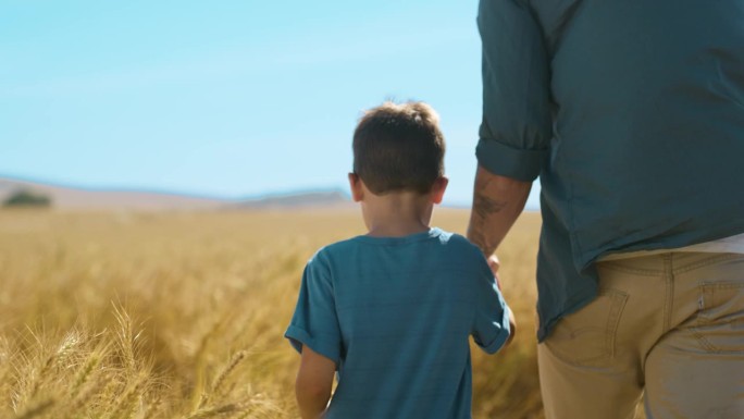 父亲，儿子和手牵着手在田地里，小麦和空间模拟蔚蓝的天空背景在家庭农场。爸爸，男孩，孩子，带着庄稼回来
