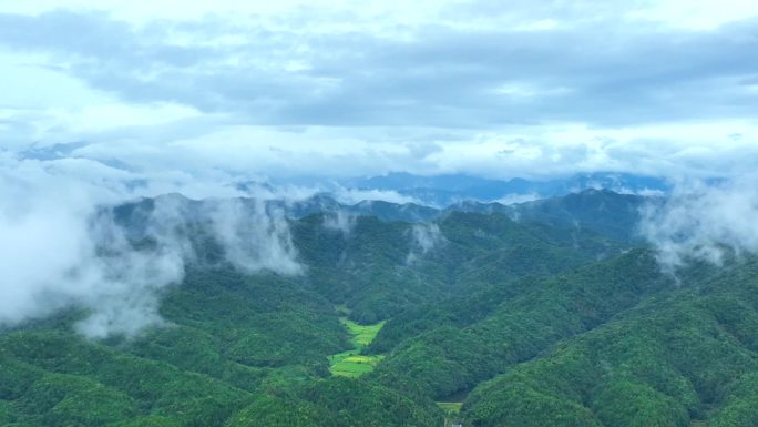 雨中群山