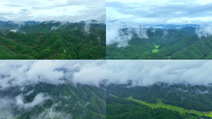 雨中群山