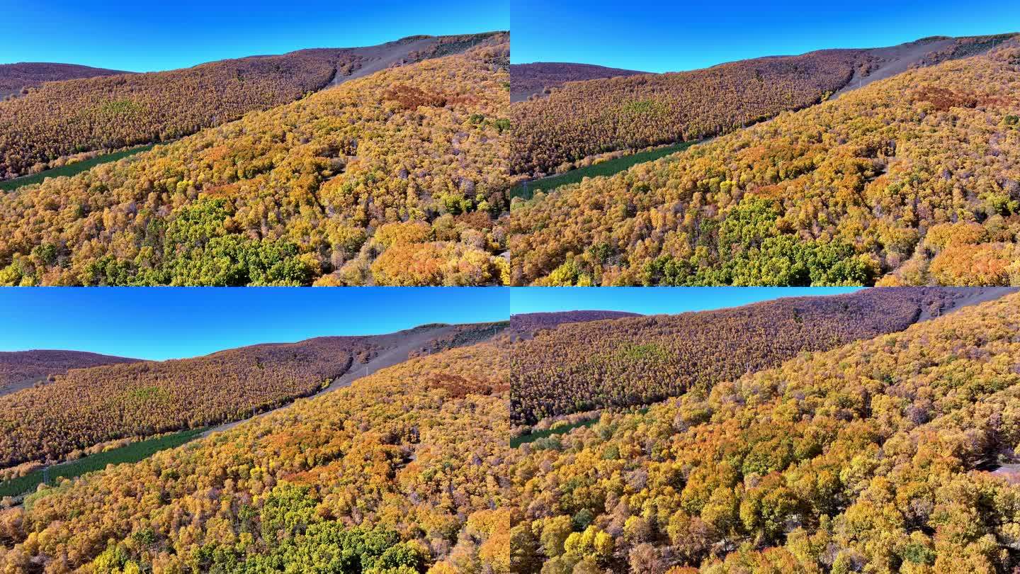 航拍山区山林秋景实拍