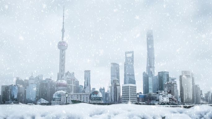上海雪景01