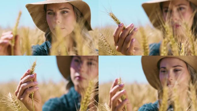 女农民，用思考、微笑和质量保证小麦检验和田地的可持续性。农业，谷物和快乐的成长，思想或评估在农场与检