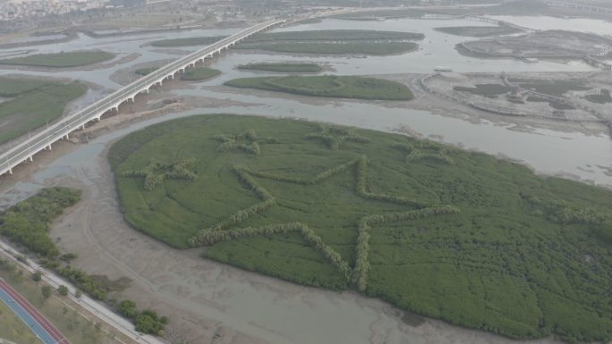 福建省厦门市翔安区下潭尾滨海湿地公园航拍