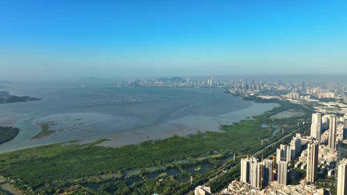 深圳湾城市与自然航拍大全景