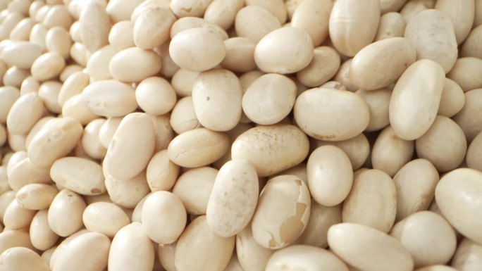 白芸豆错综复杂的质地，营养丰富的一瞥。