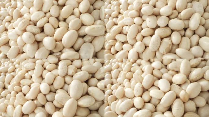 白芸豆错综复杂的质地，营养丰富的一瞥。