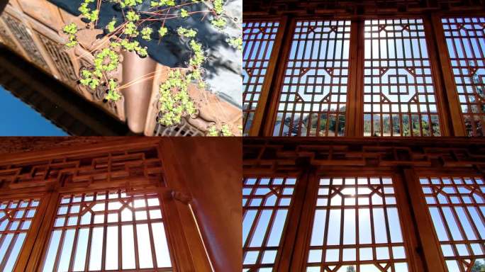 民宿 水缸 浮萍 水面植物 木门窗 阳光
