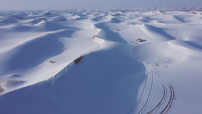 沙漠 雪景 气候 冬季 雪地行车 越野