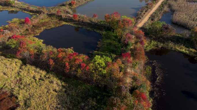 杭州余杭北湖草荡湿地秋色晨曦风光航拍