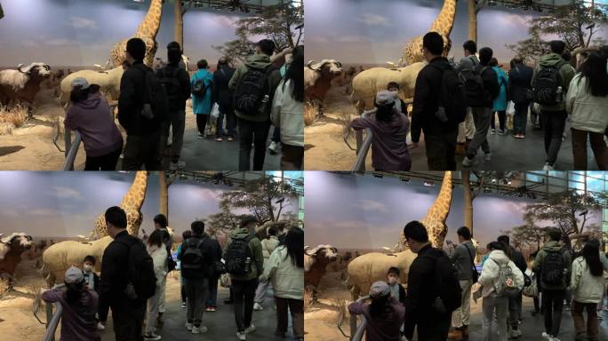 4K原创 参观上海科技馆动物世界