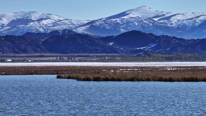 4K航拍新疆生态湿地高原雪山