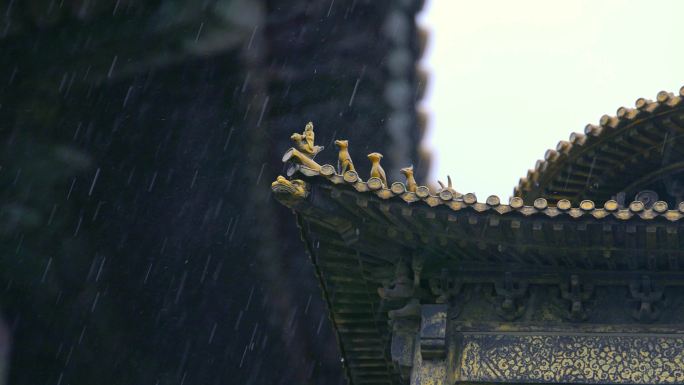 北京故宫紫禁城夏天下雨千龙吐水合集