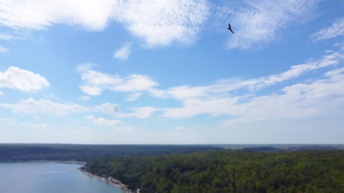 无人驾驶飞机追逐在高空飞行的鹰。