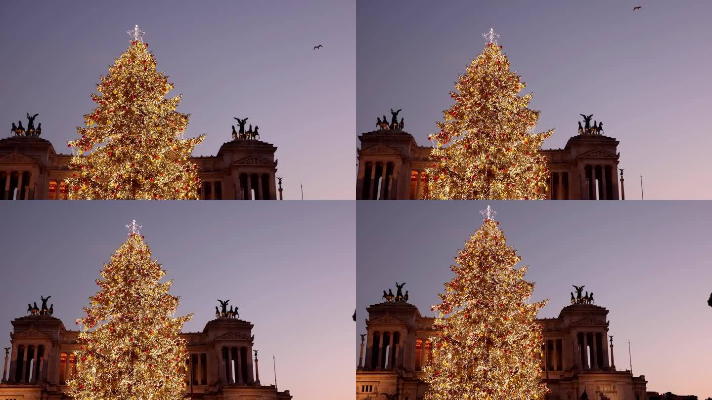 圣诞节中的罗马:威尼斯广场上的圣诞树