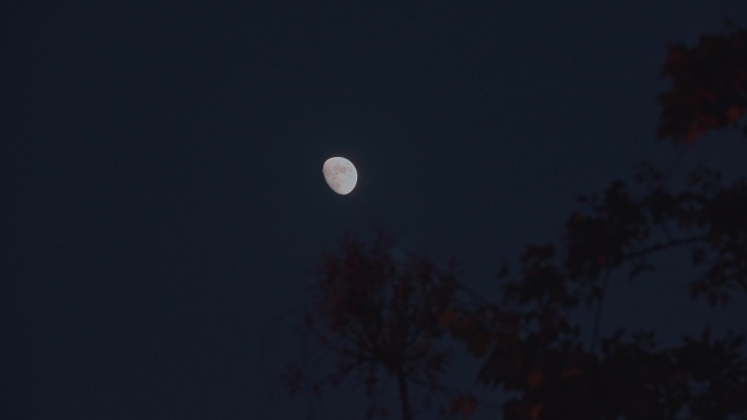 月亮月夜素材