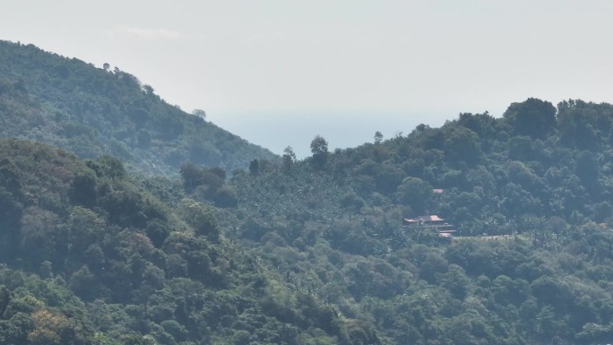 阳光明媚的一天飞越普吉岛山地丛林森林航拍全景4k泰国