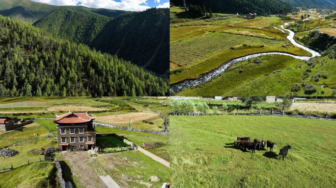 川西西藏高原森林河流藏族民居自然风光航拍