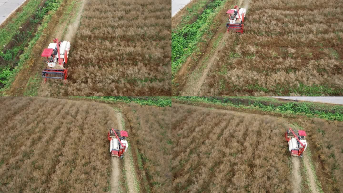 4K三农农业农田收割丰收收获航拍视频