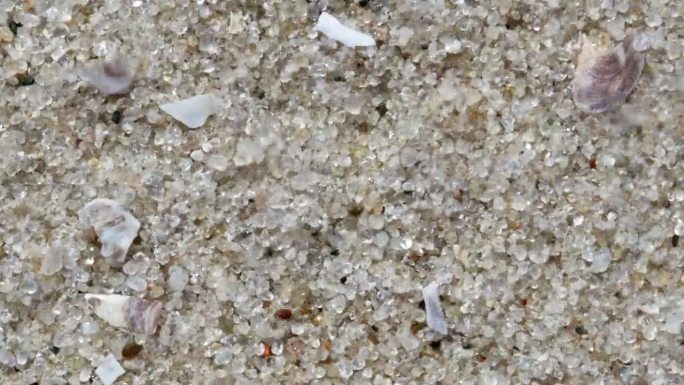 微距镜头俯视图的沙粒和小碎片的贝壳被风吹
