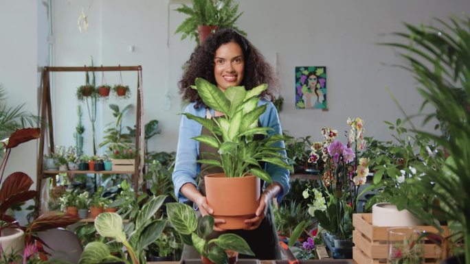 穿着制服的漂亮女花店工作人员站在花店，微笑着向镜头展示绿色盆栽幼苗的肖像。家族企业和企业家的概念。