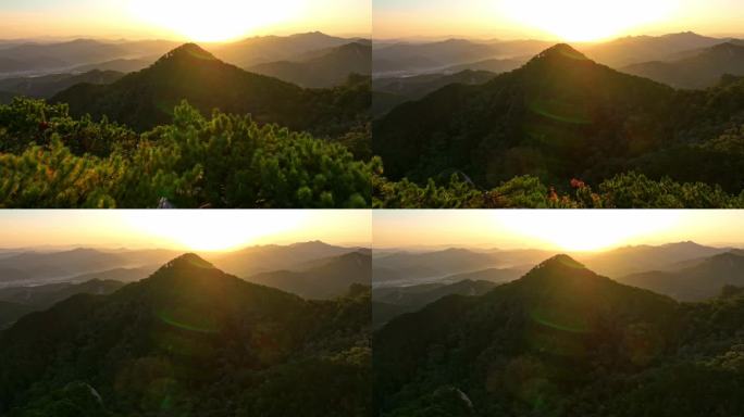 4K鞍山千山日出古松松树山顶黄山群山